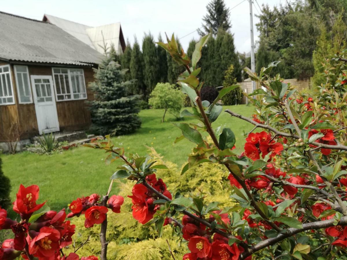 Villa Siedlisko Jozefka à Zarobka Extérieur photo